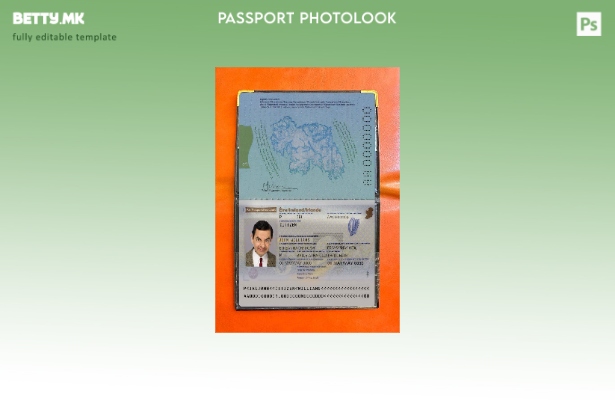 Шаблон за изглед на слика за пасош на Ирска во модерен стил